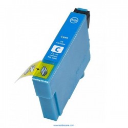 EPSON T0482