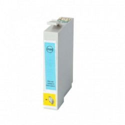 EPSON T0485