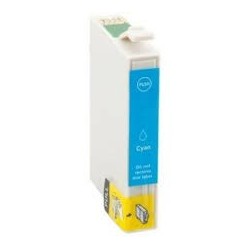 EPSON T0962
